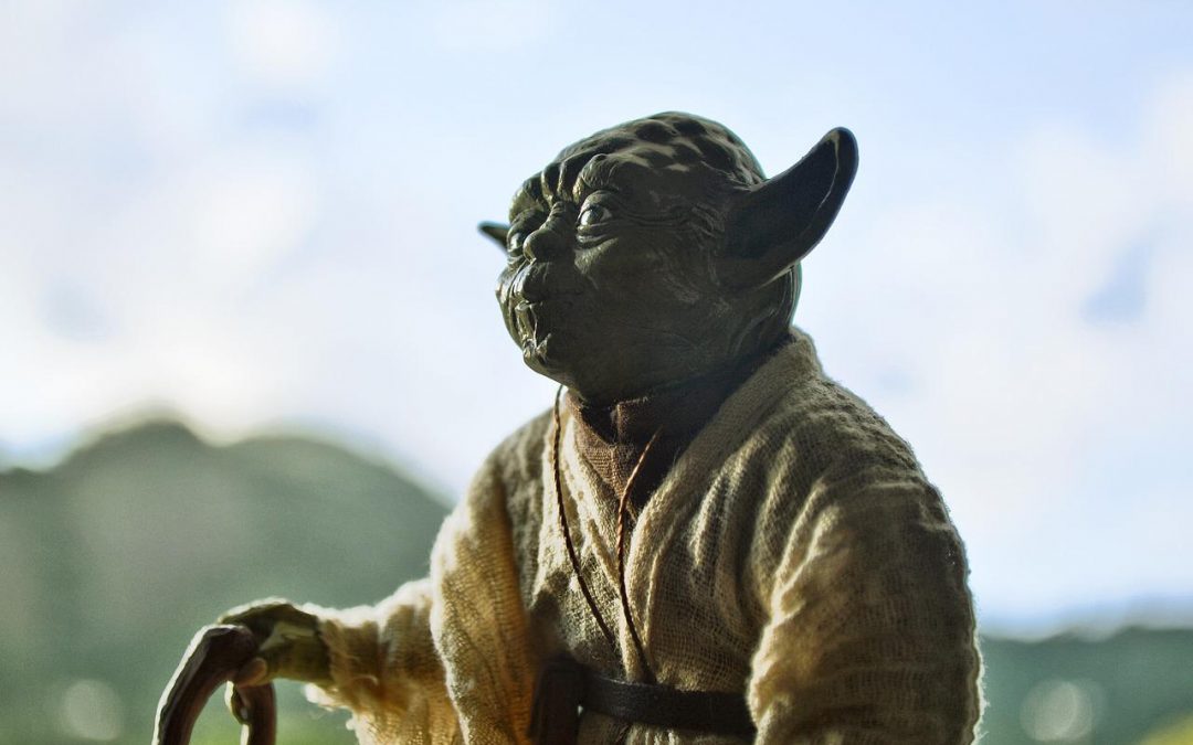 10 conseils pour rester cool toute l’année. (Yoda a toujours raison !)
